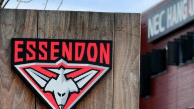 Essendon are conducting research among their fans to assess if they need to alter their iconic logo due to concerns