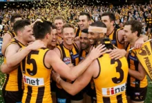 2014 AFL Grand Final Hawthorn Crush Sydney Swans By 63