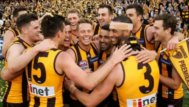 2014 AFL Grand Final Hawthorn Crush Sydney Swans By 63